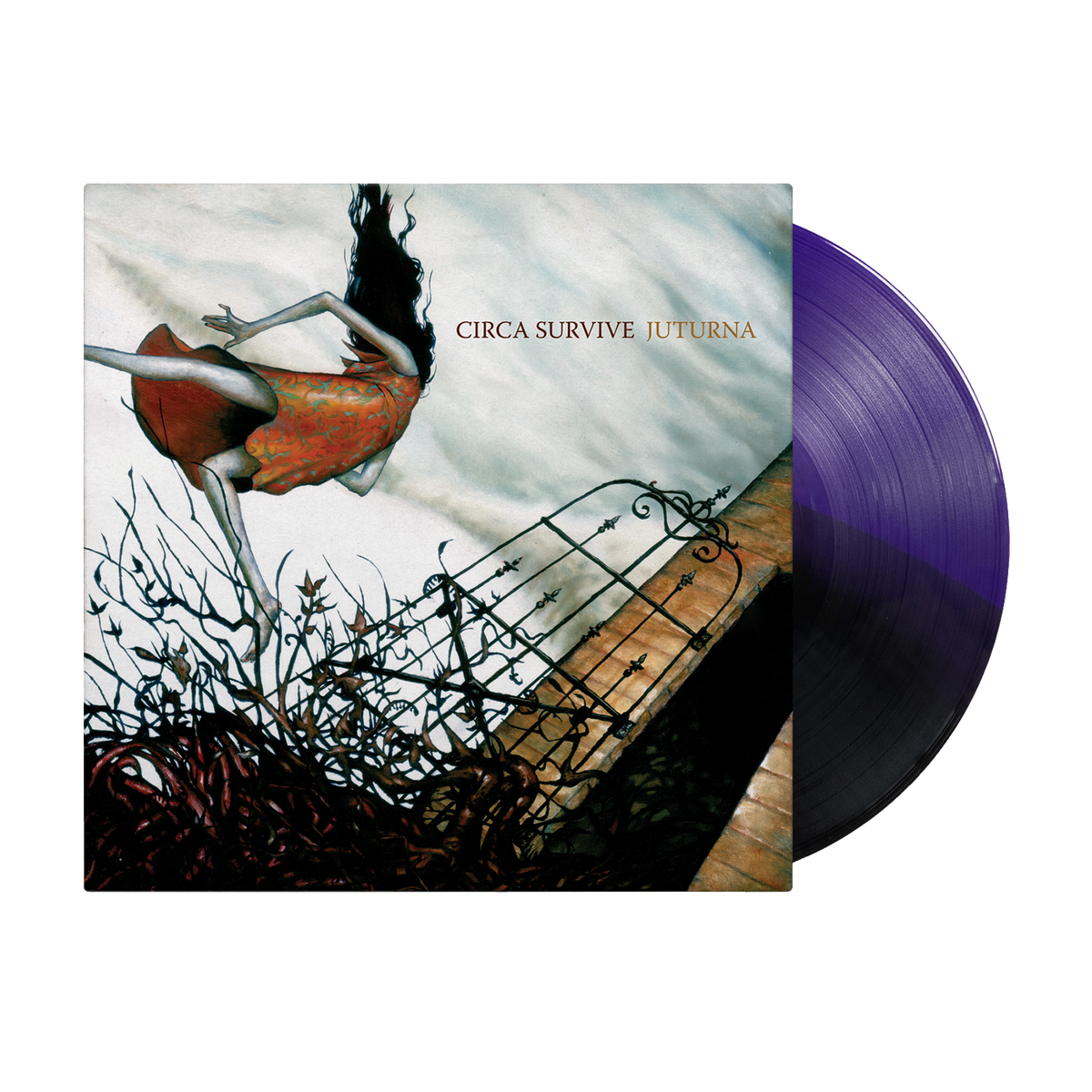 circa.jut.purpleblack.split.